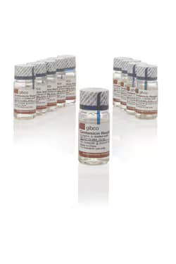 Gentamicin (50 mg/ml), 10 ml